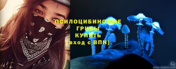 apvp Алексин