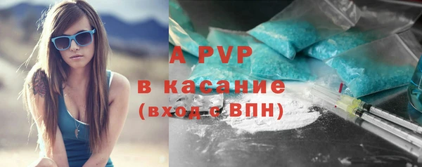 apvp Алексин
