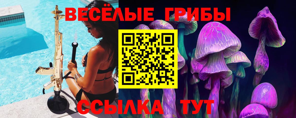 Темрюк  Псилоцибиновые грибы MAGIC MUSHROOMS  Галлюциногенные грибы GOLDEN TEACHER  Вход с VPN 
