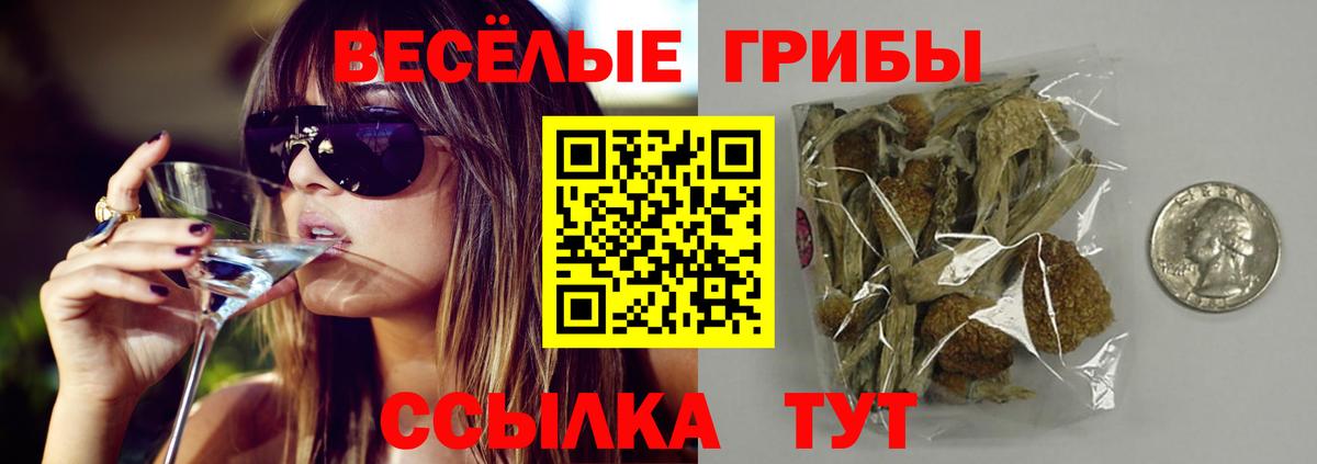 Галлюциногенные грибы мухоморы Темрюк
